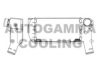 AUTOGAMMA 101860 Intercooler, charger